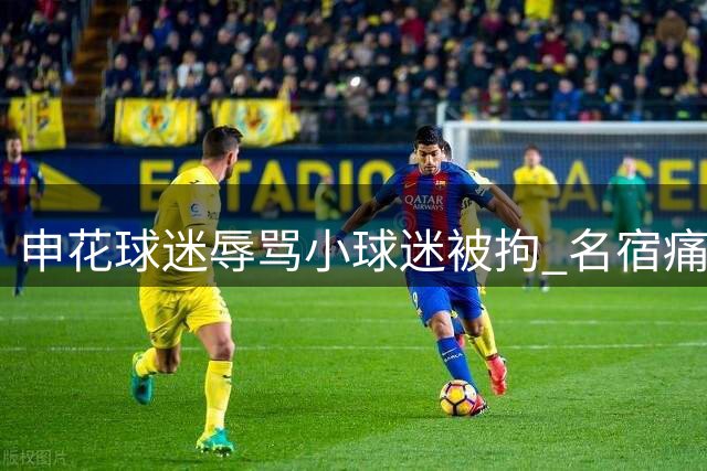 申花球迷辱骂小球迷被拘 名宿痛批球场霸凌