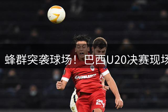 蜂群突袭球场！巴西U20决赛现场上演罕见一幕