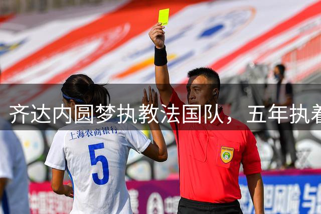 齐达内圆梦执教法国队，五年执着终获国家队帅印
