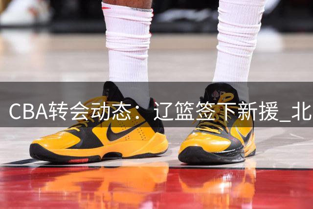 CBA转会动态：辽篮签下新援 北京续约核心 山东锁定外援得分王